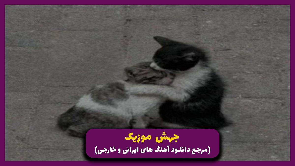 دانلود آهنگ بهت حواسم بود بود حواسم لاشخورا نماسن بهت از 